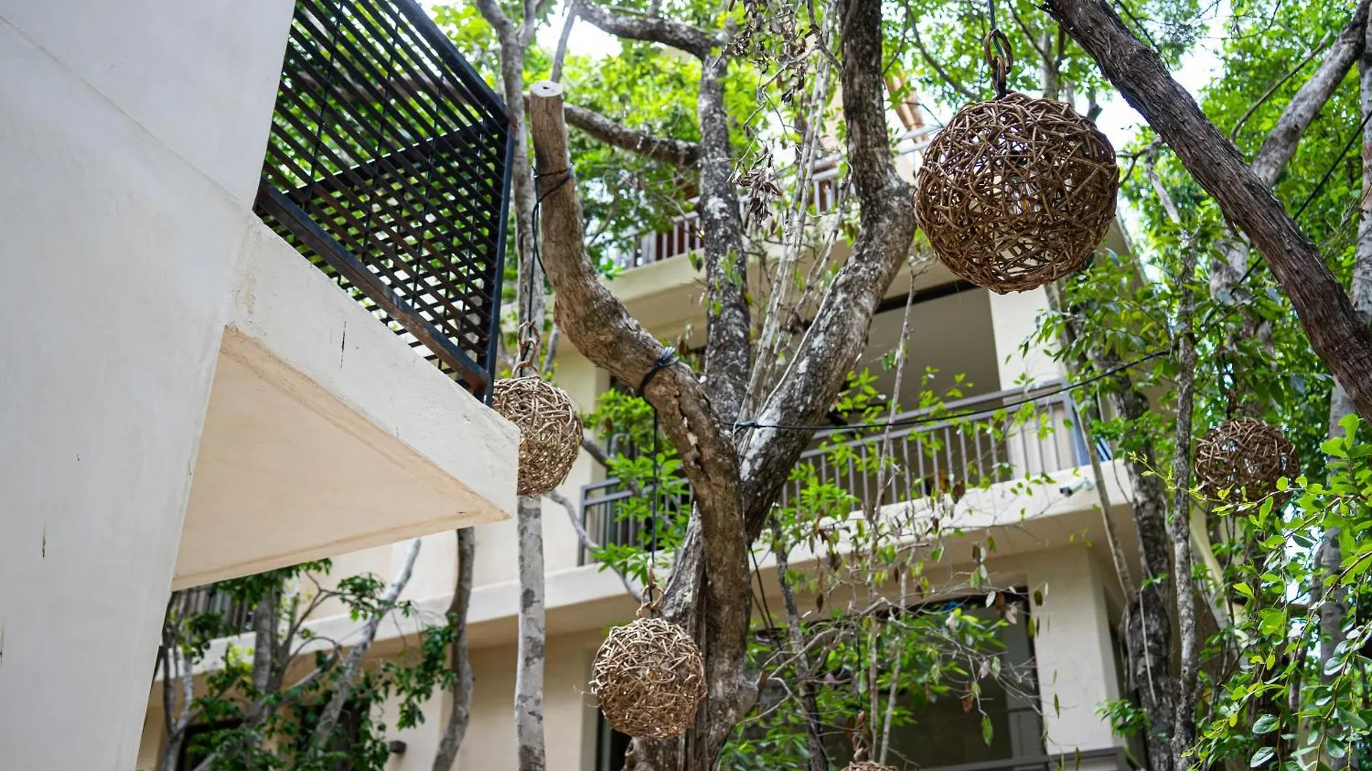 Apartament Aptos Chen Luum Tulum Meksyk