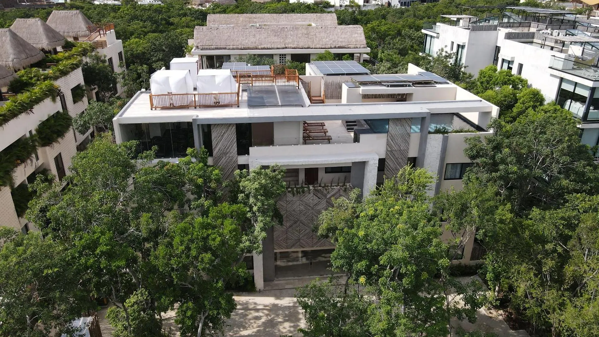 Aptos Chen Luum Tulum